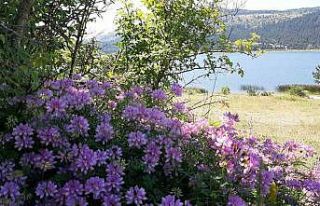 Türkiye sıcaktan kavruluyor, Bolu en soğuk il oldu