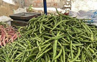 Türkiye’nin Börülce merkezi Muğla