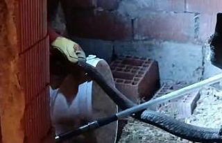 Türkiye’nin en zehirli yılanı tavuk kümesine...