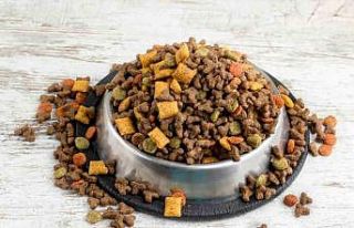 Türkiye’nin kedi-köpek maması ihracatında yüzde...