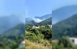 Uludağ’ın eteklerinde orman yangını