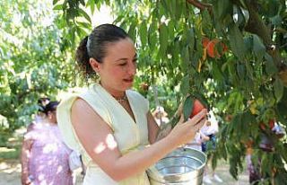 Üretici ve halk Belevi Şen Şeftali Şenliği’nde...