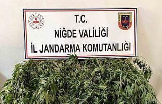 Uyuşturucu operasyonunda 2 kişi gözaltına alındı