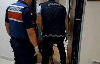 Uyuşturucu tacirine jandarma darbesi