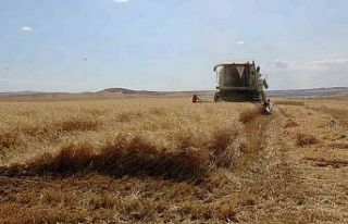 Uzman doktor uyardı: Güneydoğu Anadolu Bölgesi’nde...