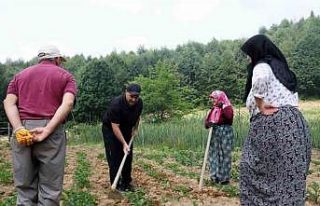 Vali Kaldırım, eline aldığı çapayla vatandaşa...