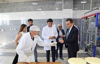 Vali Öksüz, Sanayi Tesislerinde incelemelerde bulundu