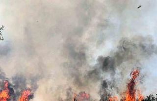 Valilikten sıcak ve yangın uyarısı