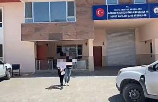 Van’da 3 organizatör tutuklandı