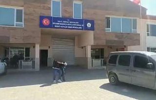 Van’da 5 organizatör tutuklandı