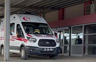 Vatandaşı tarlada yılan ısırdı