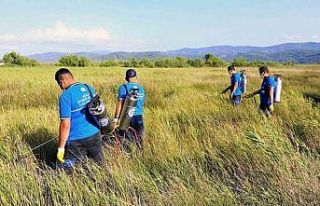 Vektör ile mücadele devam ediyor