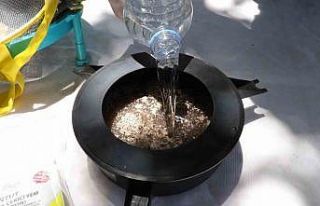 Vektör mücadelesinde karasinek tuzağı