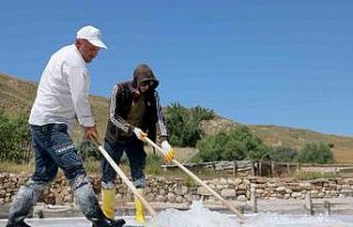Yağmur yağışları tuz hasadının düşüşüne...