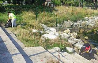 Yalova sahilleri aralıksız temizleniyor