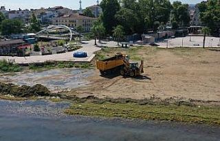 Yalova’da lodos sonrası yosunlar kaplanan kıyı...