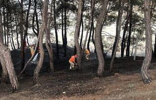 Yangın söndürüldü, vatandaş piknikçilere tepki...