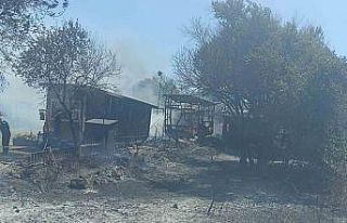 Yangında 4 ’tiny house’ küle döndü