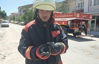 Yangında etkilenen güvercinleri itfaiye kurtardı