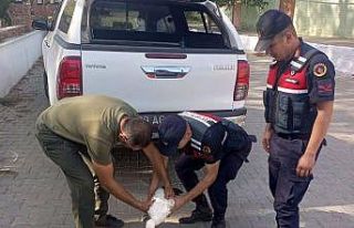 Yaralı leyleğe jandarma şefkati