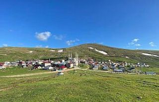 Yaylacılık kültürü can çekişiyor