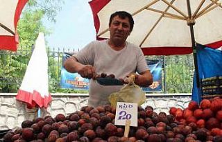 Yaz meyvesi eriğe pazarda rağbet yok