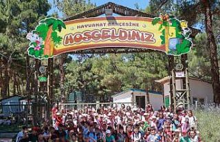 Yaz okulu öğrencileri hayvanat bahçesini gezdi