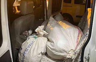 Yem çuvallarında uyuşturucu sevkiyatına 2 tutuklama