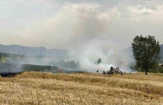 Yenipazar’da ekin tarlarında peş peşe yangın
