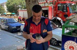 Yere düşen yavru kargayı yuvasına koyan itfaiye...