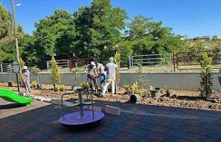 Yeşil ile bütünleşen İlkadım