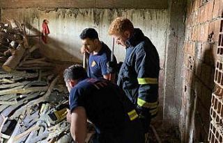 Yılan ihbarı itfaiye ekiplerini harekete geçirdi