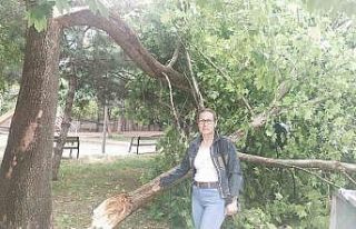 Yıldırım elektrik trafosuna zarar verdi, kopan...