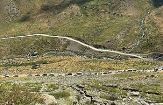 Yüksekova’nın en yüksek festivaline Türkiye...