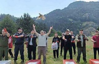 Yüzlerce Keklik doğaya salındı