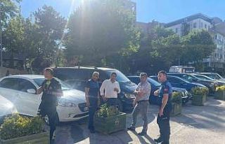 Zabıtalar dedektif gibi çalışarak dilenci avına...