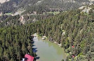 ‘Zigana’nın Nazar Boncuğu’ Limni Gölü’ne...