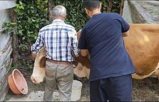 Zonguldak’ta 120 köy karantina ve gözetim altına...