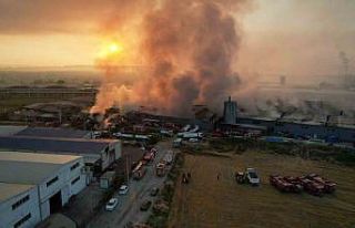 10 ayrı fabrikayı küle çeviren yangın günün...
