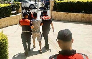 15 yıl hapis kararı bulunan şüpheli ormanlık...