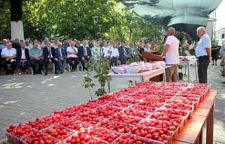 16. Şenköy Kızılcık Şenliği renkli görüntülere...