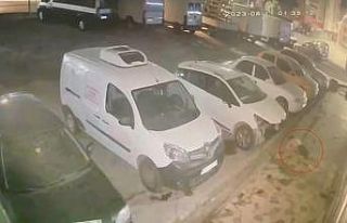 19 yaşındaki gencin 6. kattan düşüş anı kameraya...