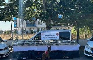 1 ayda 101 kilo skunk, 222 bin kök kenevir ele geçirildi