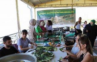 2. Uluslararası Nemrut Gastronomi Festivali