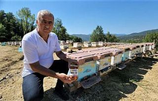 36 yıllık ilçenin ilk coğrafi işaretli ürünü...