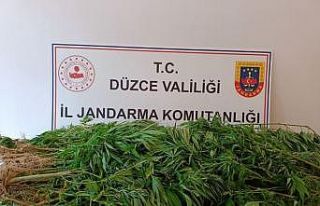 9 kilo 200 gram kubar esrar ele geçirildi