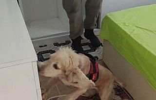 9 kilogram kokain Çaki’ye takıldı