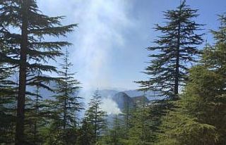 Adana Feke’deki orman yangını kontrol altına...