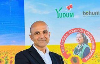 Adana’da deneme alanlarına ekilen yerli ayçiçeği...