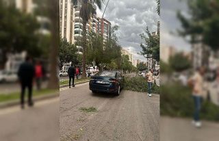 Adana’da kuvvetli yağış ve rüzgar hayatı olumsuz...